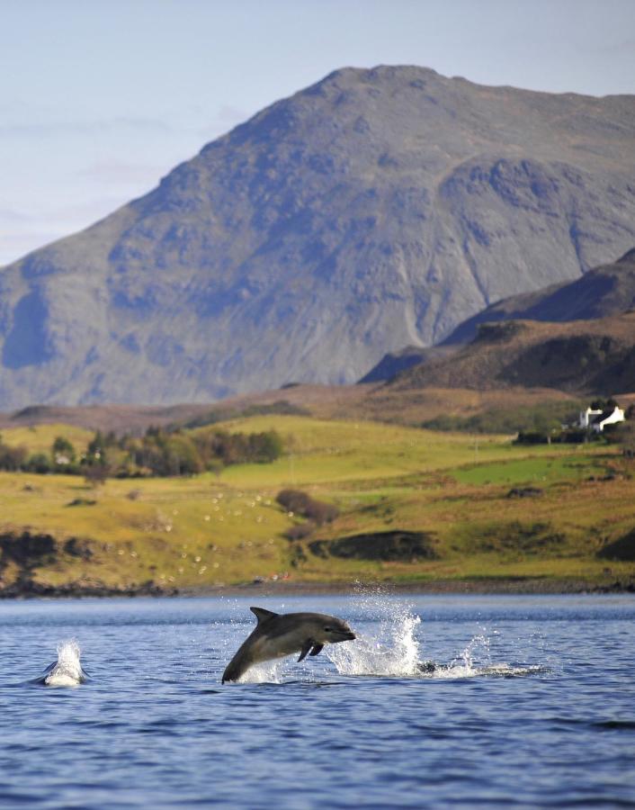 Skye Photo Centre Bed & Breakfast Camastianavaig Bagian luar foto